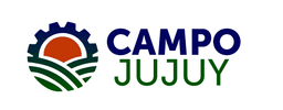 CampoJujuy