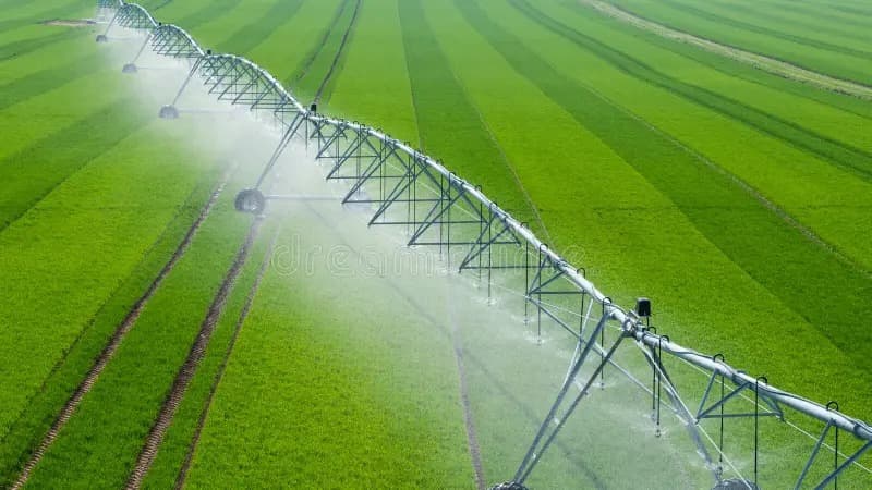 EL SALTO DEL RIEGO: ARGENTINA TIENE POTENCIAL PARA SUMAR 7,5 MILLONES DE HECTÁREAS PRODUCTIVAS