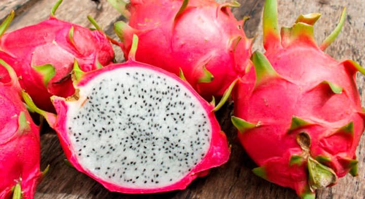 LA PITAHAYA: JUJUY LIDERA LA PRODUCCIÓN NACIONAL DE LA NUEVA “FRUTA DEL DRAGÓN”