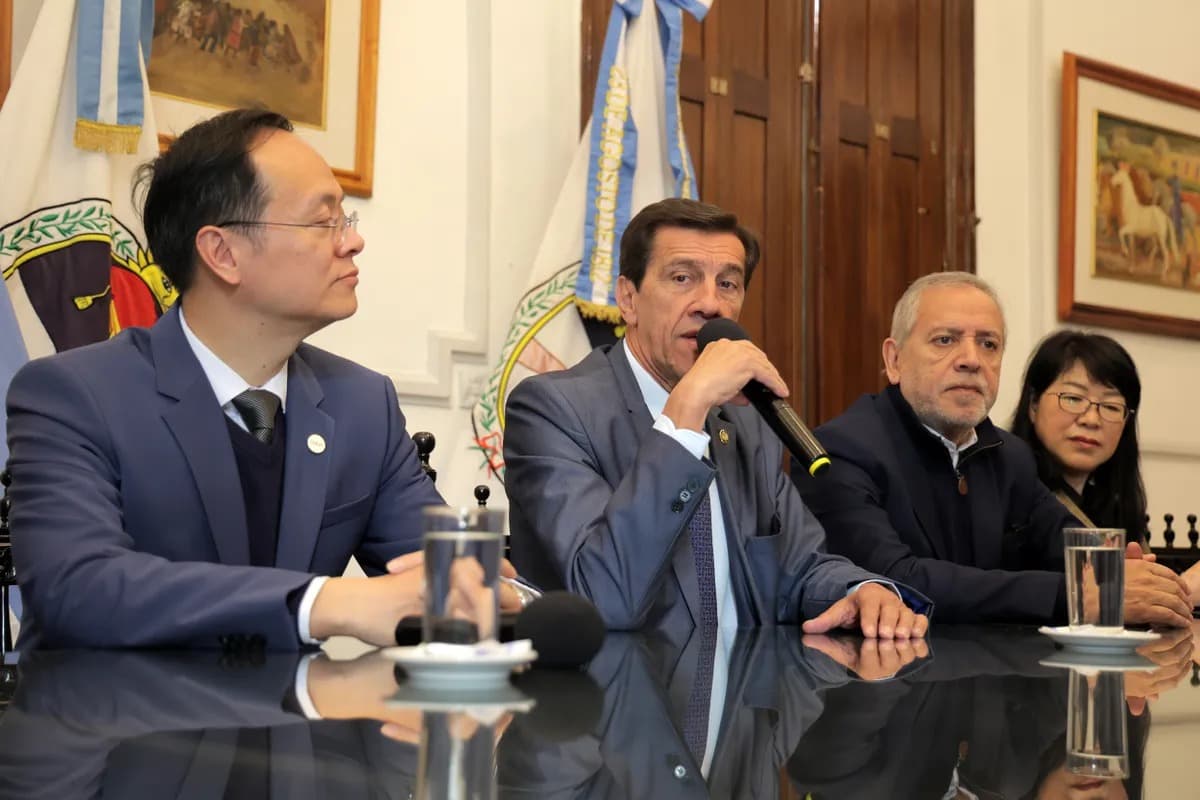 NUEVO PROYECTO DE LITIO BUSCA ADHERIR AL RIGI: CNGR PROYECTA PLANTA DE 22.000 TONELADAS ANUALES