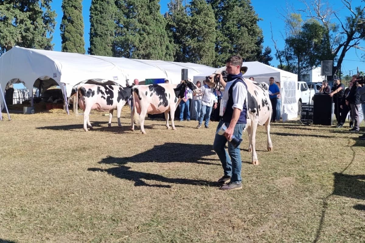 NOGOYÁ 2026: LA CUENCA LECHERA ENTRERRIANA EXHIBE SU POTENCIAL TECNOLÓGICO Y GENÉTICO