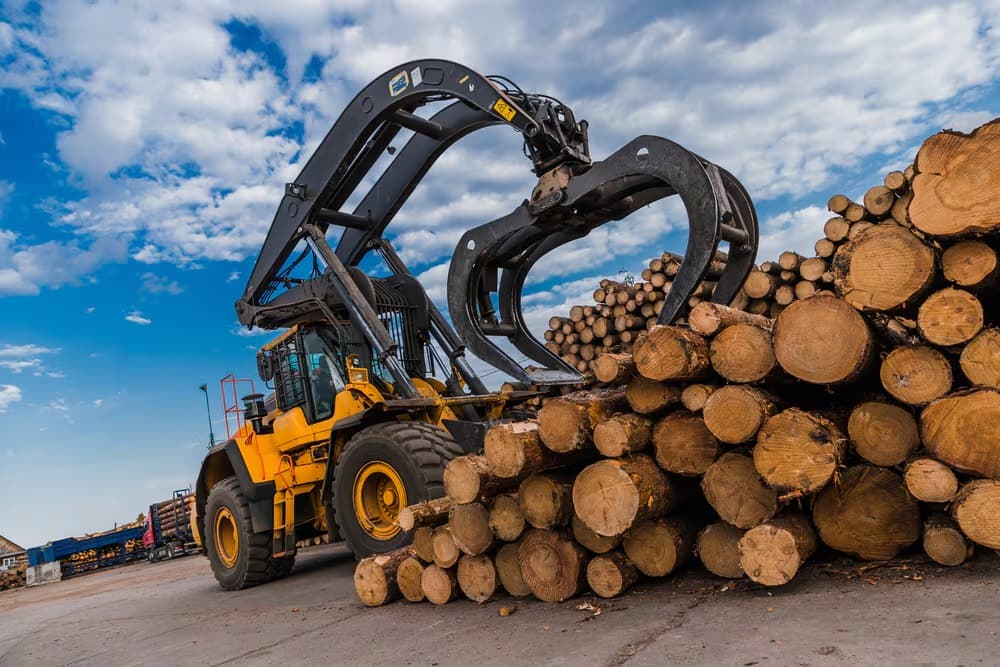 GIGANTE FORESTAL: CORRIENTES RECIBIRÁ UNA INVERSIÓN DE USD 2.000 MILLONES PARA PRODUCIR CELULOSA DE EXPORTACIÓN