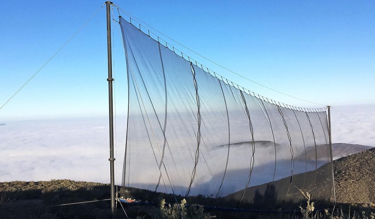 COSECHAR EL AIRE: MALLAS ATRAPANIEBLAS, LA TECNOLOGÍA QUE TRANSFORMA LA HUMEDAD EN AGUA