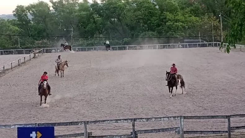LA RURAL JUJEÑA A PUERTAS ABIERTAS: XV EXPOSICIÓN DE CABALLOS CRIOLLOS Y GRAN REMATE DE BOVINOS