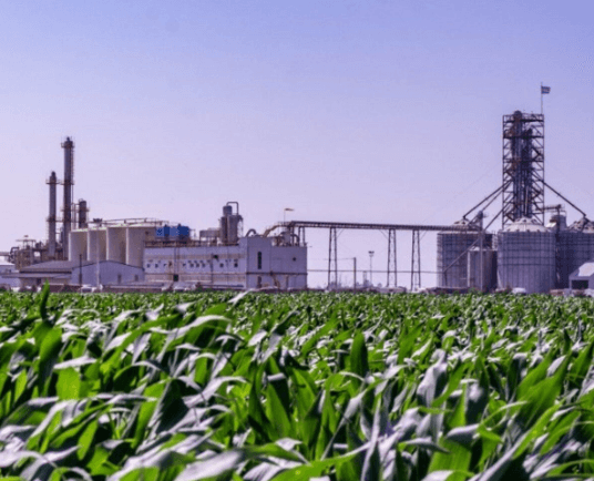BIOCOMBUSTIBLES: EL CAMPO PRESIONA POR EL SALTO AL 15% DE CORTE