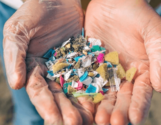 MICROPLÁSTICOS EN LA PUNA: EL ALCANCE DE LA CONTAMINACIÓN EN JUJUY