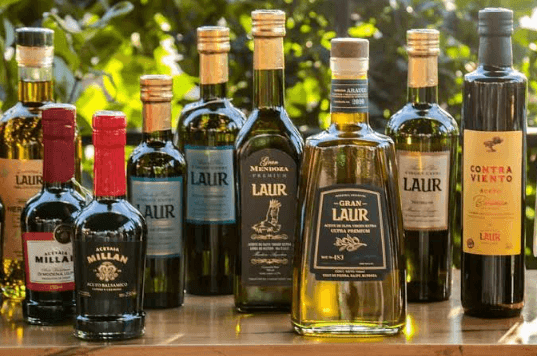 DE MENDOZA AL MUNDO: EL ACEITE DE OLIVA ARGENTINO QUE MARCA LA EXCELENCIA GLOBAL