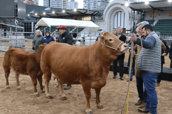 PASIÓN POR EL CAMPO: LOS CAMPEONES DE LA 138° EDICIÓN DE LA RURAL DE PALERMO