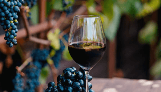 INVESTIGARÁN SI EL MALBEC “RECUERDA” LA SEQUÍA PARA SU ADAPTACIÓN AL CAMBIO CLIMÁTICO