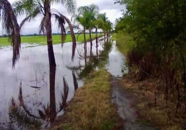 PRODUCCIÓN DEL NOA BAJO EL AGUA: SUELOS SATURADOS Y ALERTA RURAL