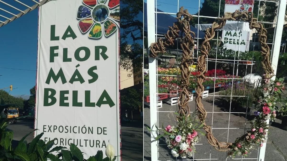 FLORICULTURA EN JUJUY: 46 PRODUCTORES IMPULSAN LA ECONOMÍA LOCAL EN LA 16° EDICIÓN DE “LA FLOR MÁS BELLA”