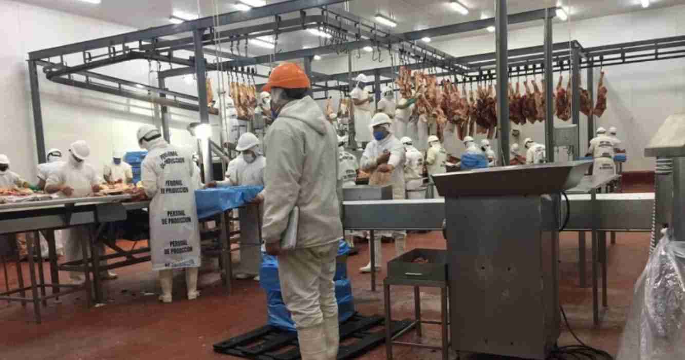 JUJUY Y SENASA REFUERZAN LA VIGILANCIA SANITARIA PARA BLINDAR LA PRODUCCIÓN AGROPECUARIA LOCAL