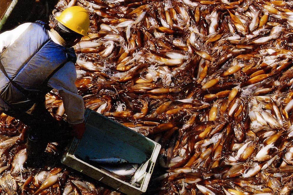 ALERTA ROJA EN LA PESCA: EL AUMENTO DEL GASOIL PONE EN JAQUE 43.000 EMPLEOS