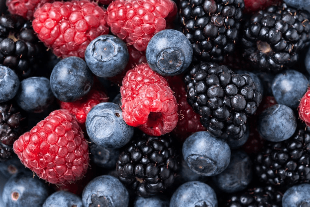 CHILE: INNOVACIÓN PARA CREAR COLORANTES NATURALES DE FRUTOS ROJOS