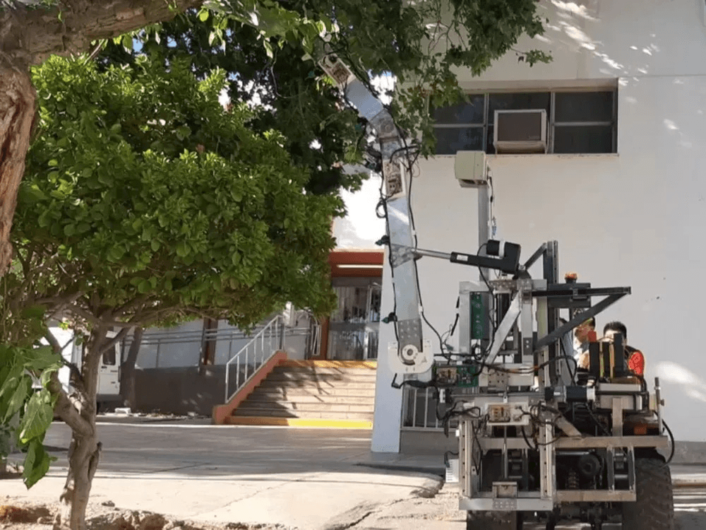 ORGULLO NACIONAL: CIENTÍFICO SANJUANINO CREA UN ROBOT CON IA QUE DETECTA PLAGAS EN 10 SEGUNDOS