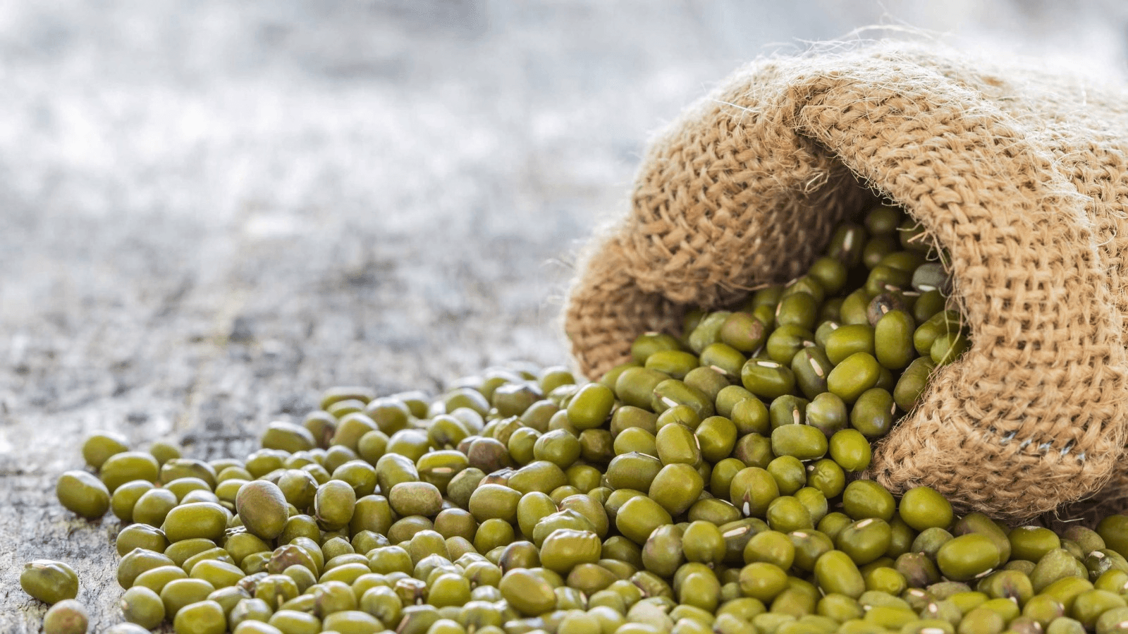 POROTO MUNG: EL CULTIVO DE CICLO CORTO QUE CONQUISTA ASIA Y GANA TERRENO EN EL NORTE