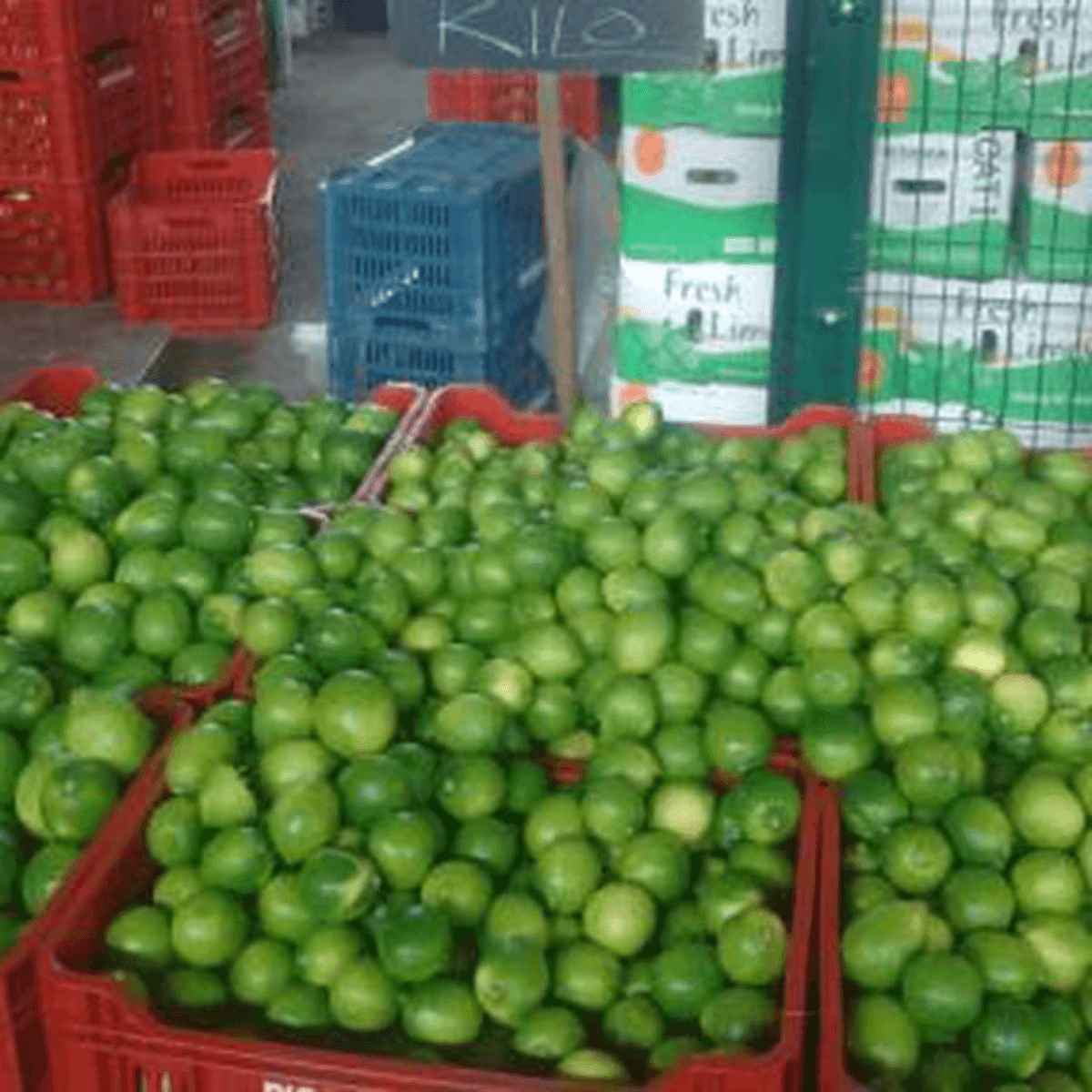 EL LIMÓN JUJEÑO SUFRIÓ UNA CAÍDA DEL 10% EN MARZO POR EL IMPACTO DEL CLIMA Y LA SOBREOFERTA