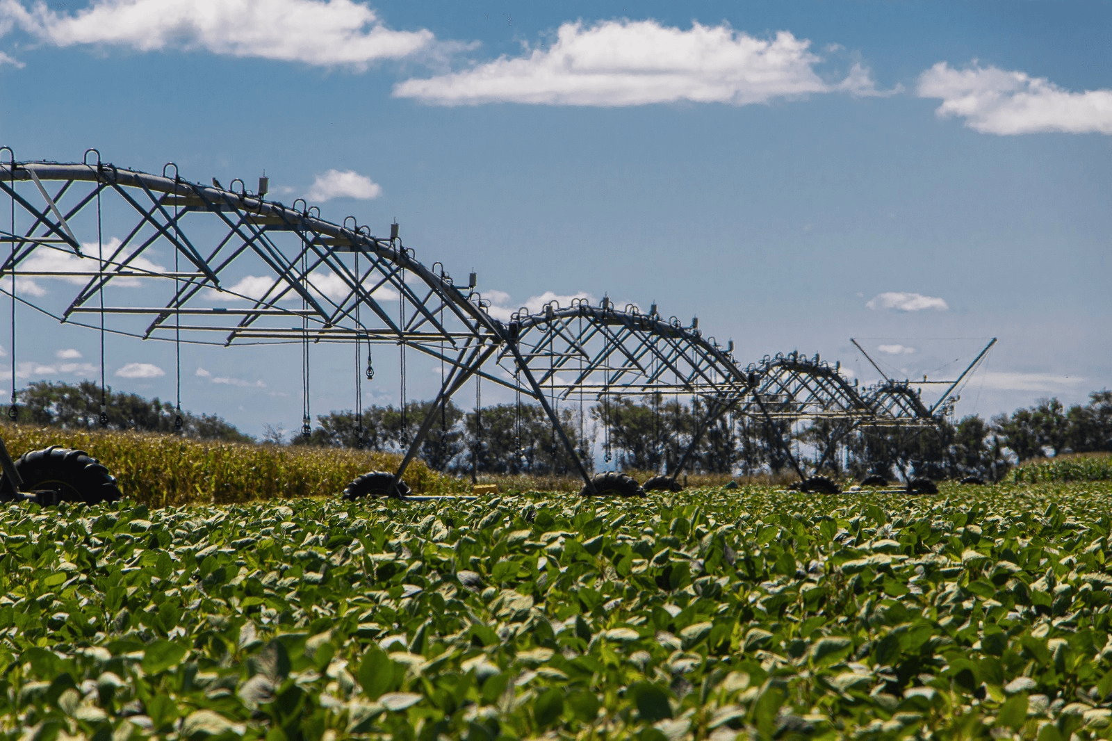 RIEGO AGRÍCOLA: CÓRDOBA HABILITA LA REBAJA DEL IVA EN ENERGÍA ELÉCTRICA PARA BAJAR COSTOS PRODUCTIVOS