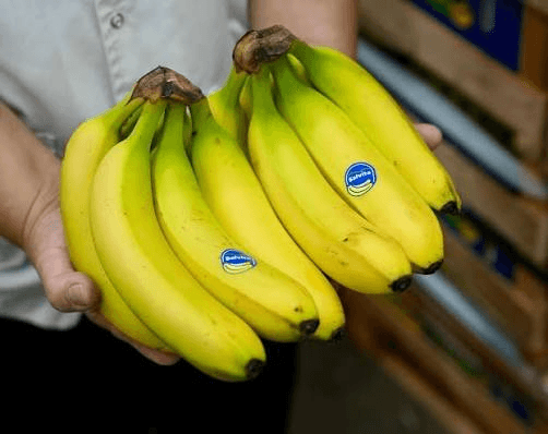 EL FENÓMENO SALVITA: LA FIRMA SALTEÑA QUE CONQUISTÓ EL “MUNDIAL DE MARCAS”