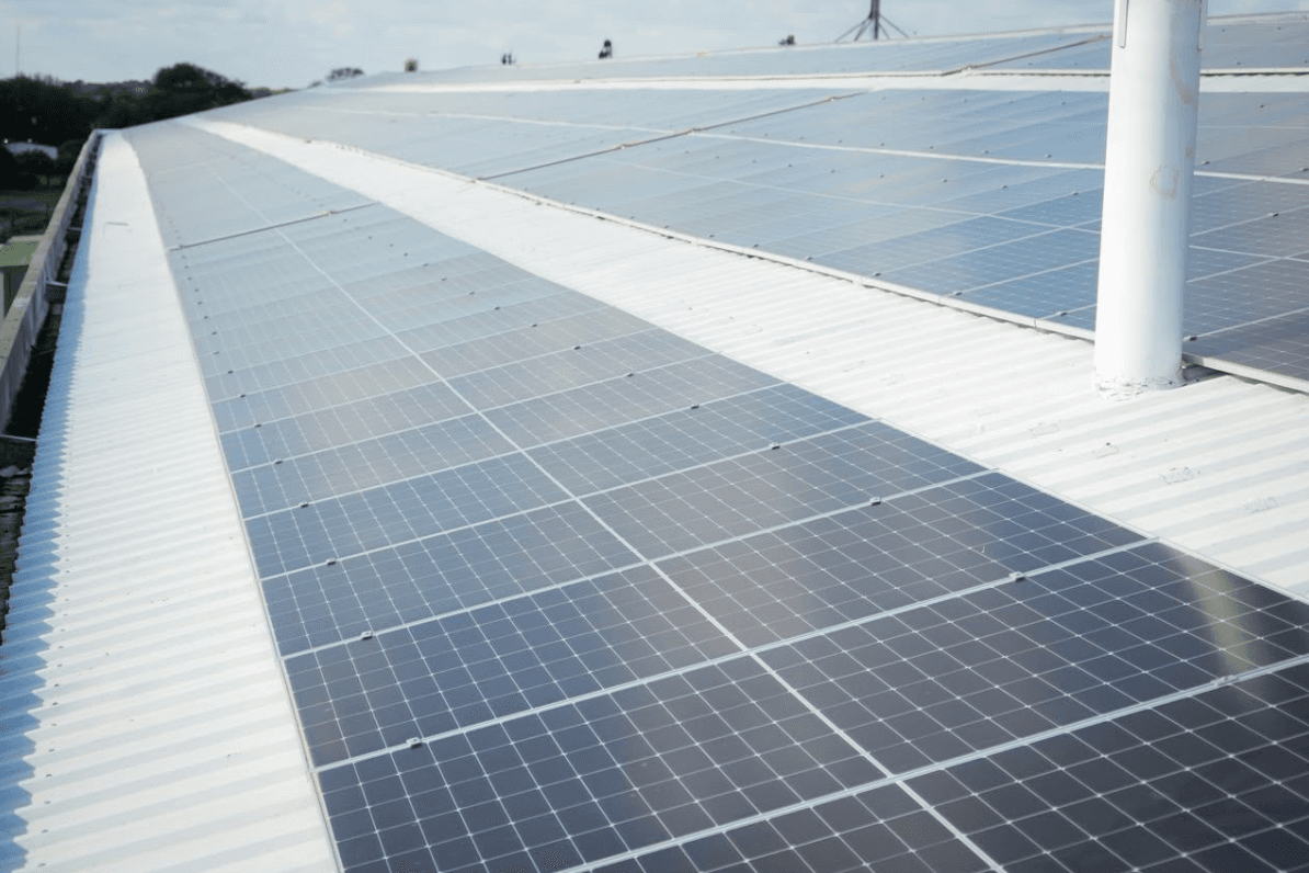 FRIGOPORC INCORPORÓ ENERGÍA SOLAR PARA POTENCIAR SU PRODUCCIÓN EN CHACO
