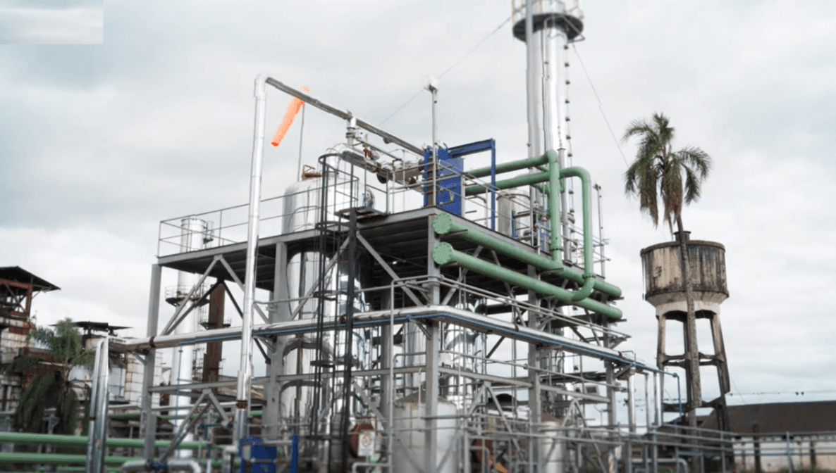 BIOCOMBUSTIBLES EN ALZA: EL BIOETANOL DE CAÑA LIDERA EL CRECIMIENTO ENERGÉTICO
