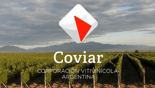 EL TORRONTÉS BUSCA SER LA CEPA BLANCA ICÓNICA DE ARGENTINA