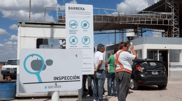 ESTATUS SANITARIO DIFERENCIADO: ACTIVO INVISIBLE QUE IMPULSA EXPORTACIONES PATAGÓNICAS