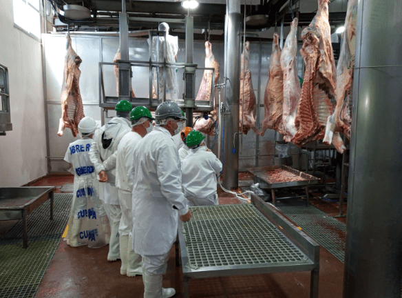 LA DESREGULACIÓN DE LA INDUSTRIA CÁRNICA: SENASA ELIMINA LA FIGURA DEL DIRECTOR TÉCNICO