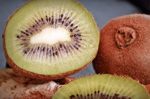 KIWI ARGENTINO: UN SECTOR CON POTENCIAL EXPORTADOR QUE DESPEGA EN EL MERCADO GLOBAL