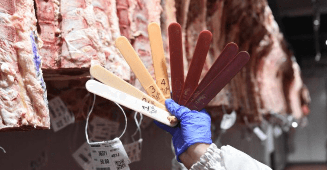 ARGENTINA ABRIÓ EL MERCADO DE INDONESIA PARA LA EXPORTACIÓN DE CARNE BOVINA Y LÁCTEOS