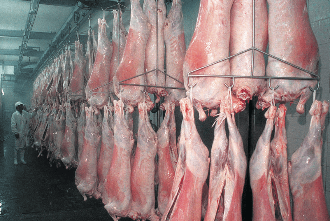 LA CARNE OVINA IMPULSA SU PERFIL EXPORTADOR CON UN CRECIMIENTO DEL 34%