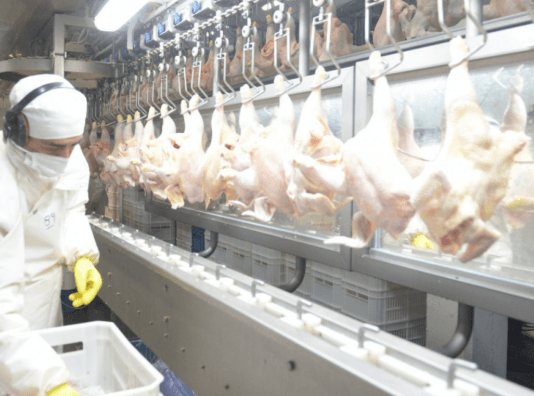 GRAN MOMENTO EXPORTADOR: EL REINO UNIDO REABRIÓ SU MERCADO A LA CARNE AVIAR ARGENTINA