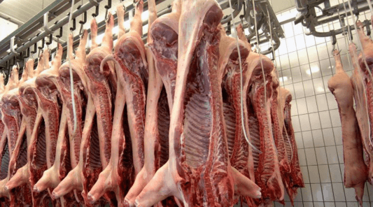 CARNE PORCINA: NUEVOS ESTUDIOS CONFIRMAN SU ALTO VALOR NUTRICIONAL Y PERFIL SALUDABLE